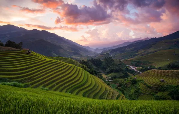 Картинка холмы, поля, Азия, Вьетнам, рисовые, Mù Cang Chải District