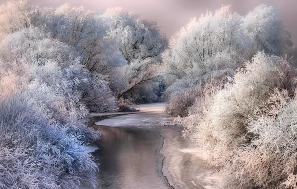Картинка зима, иней, снег, деревья, природа, река, лёд