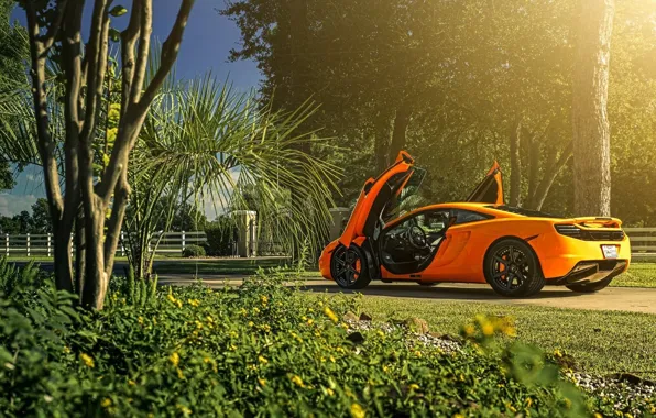 Картинка McLaren, Orange, Sun, MP4-12C, Supercar, Wheels, Rear, ADV.1