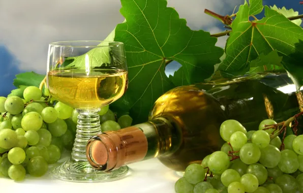 Картинка вино, бокал, бутылка, виноград, гроздь