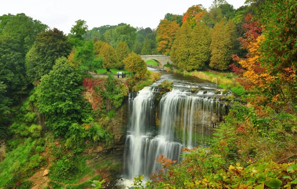 Картинка осень, лес, деревья, мост, парк, река, водопад