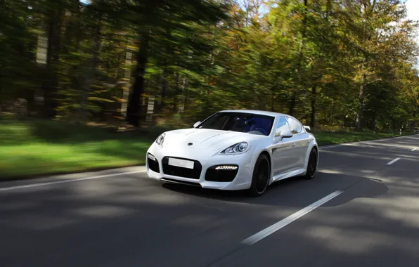 Картинка дорога, белый, скорость, Porsche, Деревя