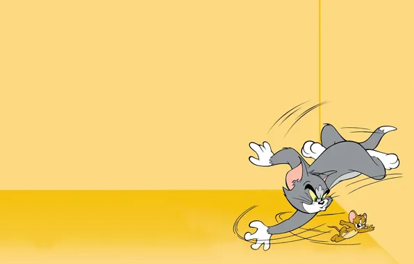Картинка кот, обои, злость, мультфильм, смех, погоня, wallpaper, cat, том и джерри, мыша, грозный взгляд, mouse, …