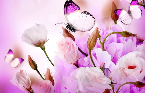 Картинка цветы, коллаж, бабочка, лепестки