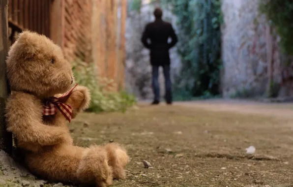 Картинка грусть, одиночество, игрушка, медведь, мишка, toy, bear, cute, lonely, Teddy