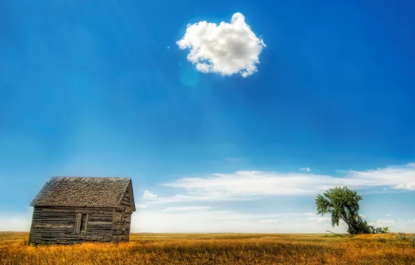 Картинка поле, облака, дом, дерево, 153