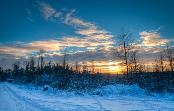 Картинка зима, дорога, небо, облака, снег, деревья, закат, природа, тропинка