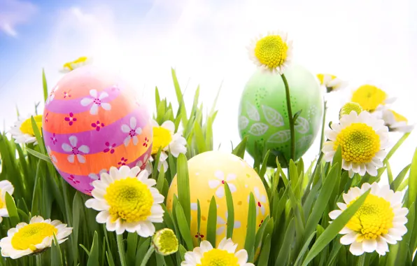 Картинка трава, цветы, ромашки, яйца, весна, пасха, grass, sunshine, flowers, spring, eggs, easter, daisy, meadow, camomile