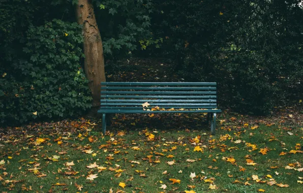 Картинка осень, листья, скамейка, парк, скамья