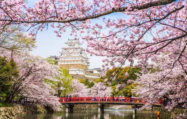 Картинка мост, река, весна, Япония, сакура, пагода, цветение