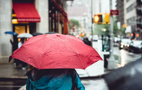 Картинка город, дождь, улица, зонт