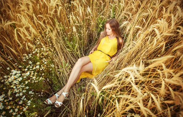Картинка пшеница, поле, девушка, ромашки, платье, колосья, в жёлтом