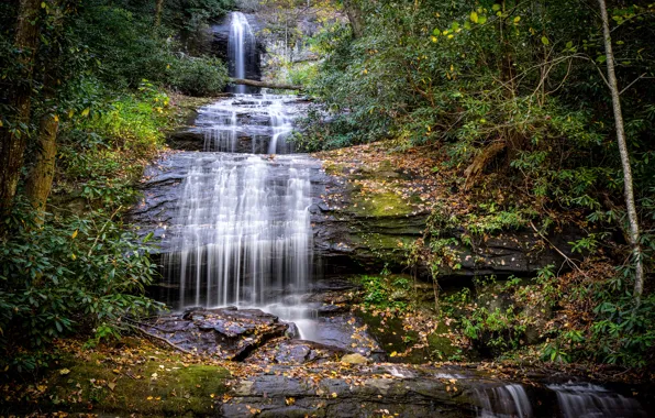 Картинка осень, лес, листья, деревья, ручей, камни, водопад, мох, США, каскад, Georgia