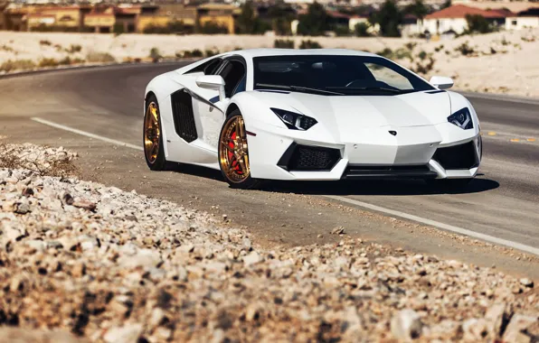 Картинка Lamborghini, Power, Front, White, LP700-4, Aventador, Road, Supercar, Wheels, Desert, B-Forged