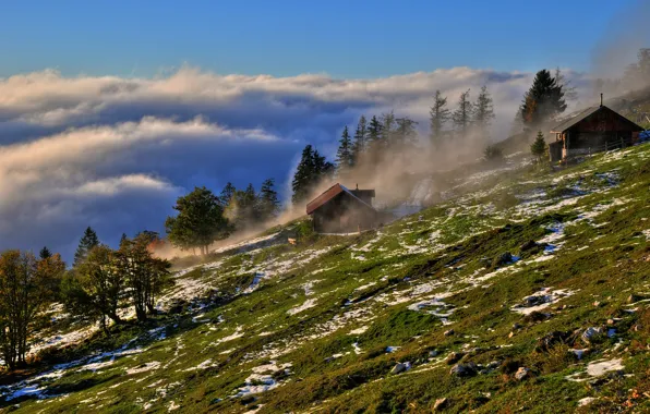 Картинка небо, трава, облака, деревья, горы, туман, дом, камни, Австрия, склон, Austria, Salzburg, Ochsenberg