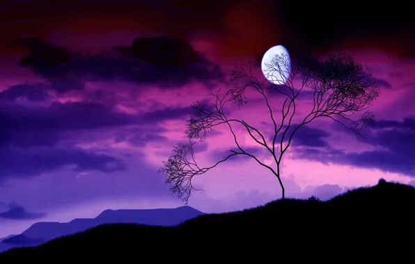 Картинка ночь, ветки, дерево, луна, 156