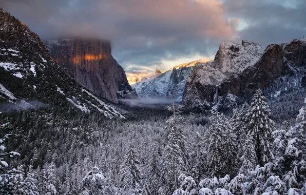 Картинка зима, лес, деревья, долина, Калифорния, California, Национальный парк Йосемити, Yosemite National Park, горы Сьерра-Невада, Sierra …