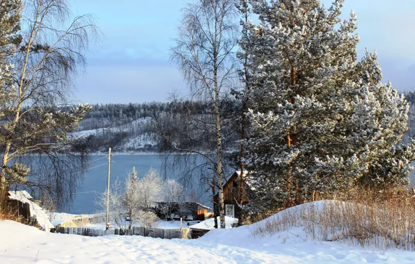 Картинка зима, снег, деревья, природа, река, фото, Россия