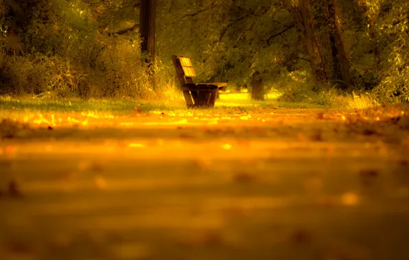 Картинка дорога, осень, листья, свет, деревья, природа, настроение, Скамейка, лавочка