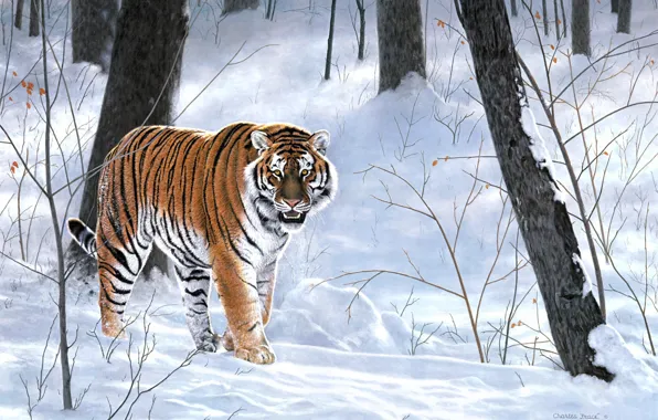 Картинка зима, лес, животные, тигр, живопись, тайга, Charles Frace, Emperor Of Siberia