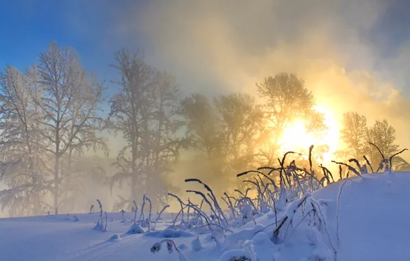 Картинка зима, солнце, снег, природа, утро