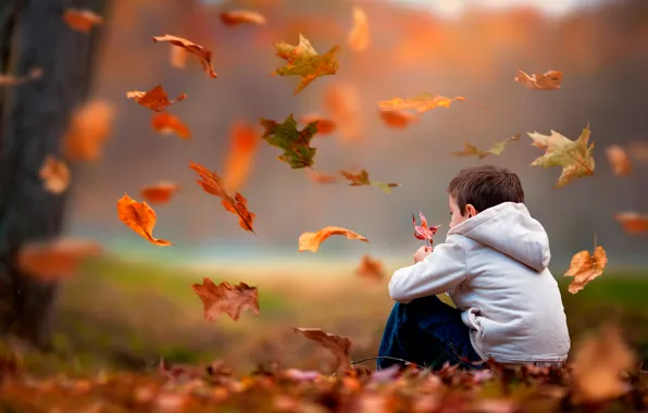 Картинка осень, листья, мальчик