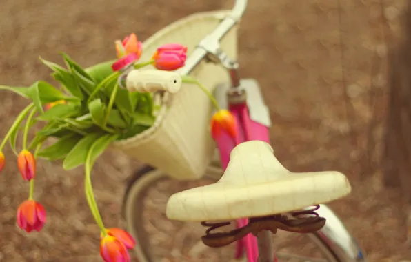 Картинка цветы, велосипед, букет, тюльпаны, bike, flowers, tulips, bouquet