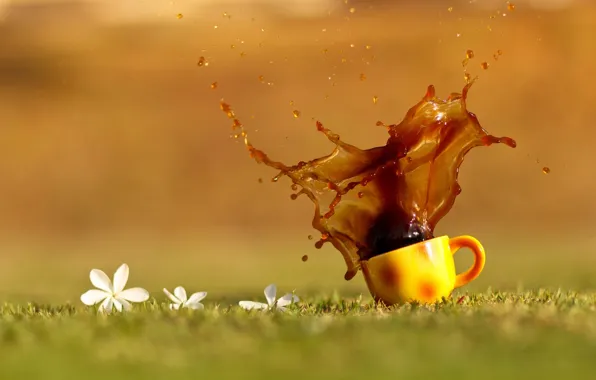 Картинка трава, капли, цветы, брызги, чай, кофе, оранжевая, чашка, напиток