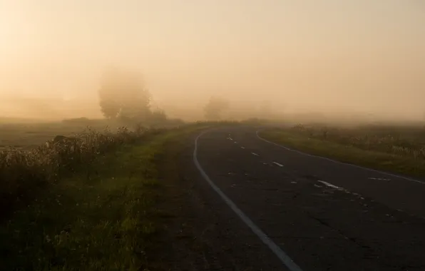 Картинка дорога, поле, природа, туман, утро