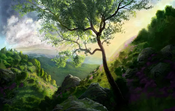 Картинка зелень, трава, цветы, природа, камни, дерево, скалы, холмы, арт, ущелье
