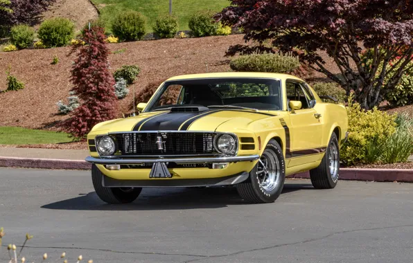 Картинка Mustang, Ford, мустанг, Boss 302, форд, 1970