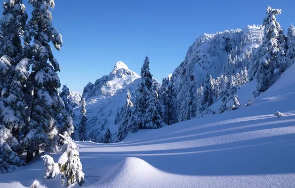 Картинка зима, снег, деревья, горы, ели, Канада, сугробы, Ванкувер, Canada, British Columbia, Vancouver, Британская Колумбия, горы …