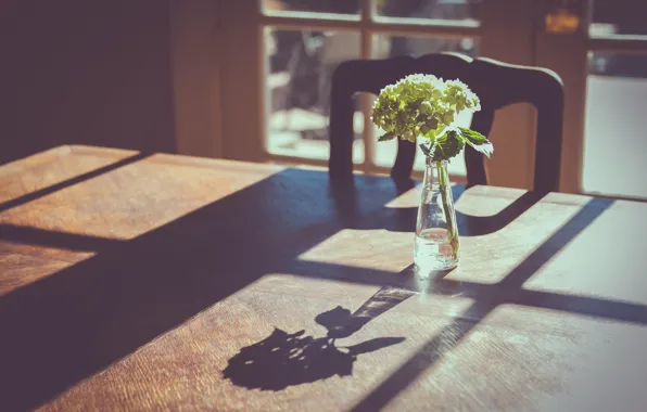 Картинка цветы, стол, тень, окно, ваза