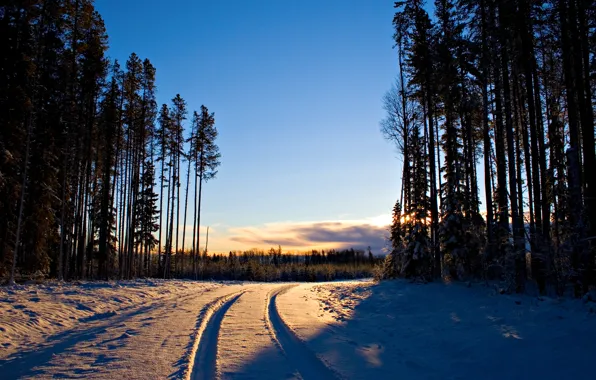 Картинка зима, дорога, лес, снег, деревья, дерево, рассвет, пейзажи, дороги, Canon EOS 20D, следы свет, 2560x1600 …