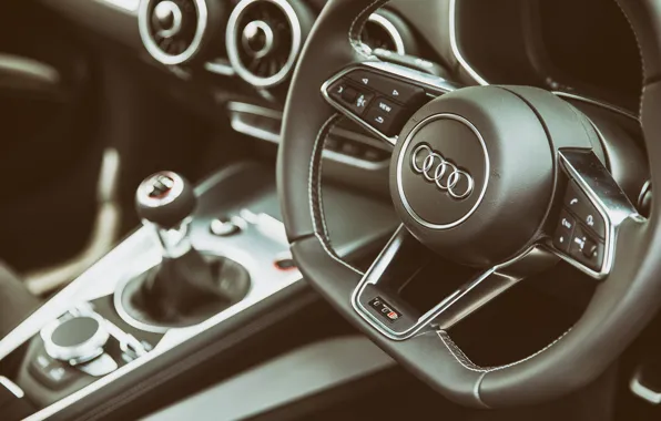 Картинка Audi, руль, салон, Interior, TTS