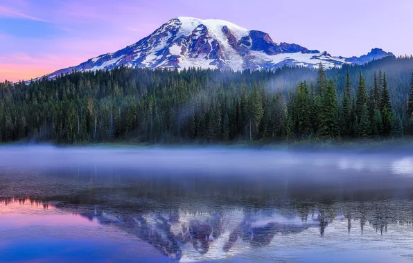 Картинка лес, Paradise, озеро, отражение, гора, утро, Вашингтон, Washington, Mount Rainier National Park, Национальный парк Маунт-Рейнир, …