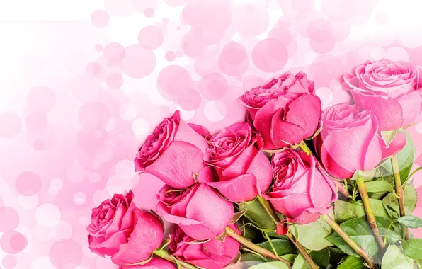 Картинка цветы, букет, розовый фон, розовые розы