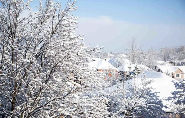 Картинка зима, небо, снег, деревья, ветки, природа, здания, дома, крыши