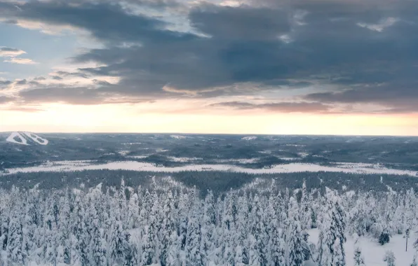 Картинка зима, лес, облака, снег, Деревья