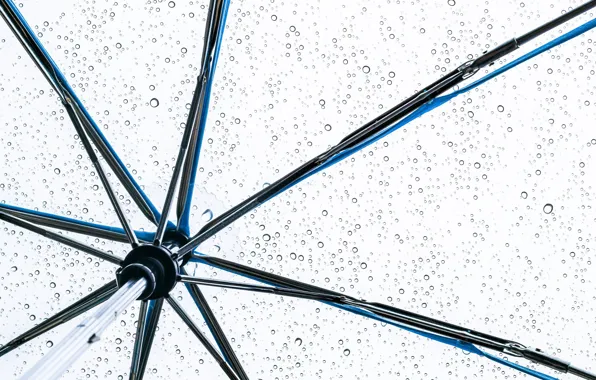 Картинка umbrella, drops, raining