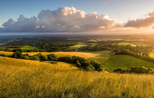 Картинка небо, трава, облака, деревья, пейзаж, природа, рассвет, холмы, поля, Англия, утро, Великобритания, сельская местность