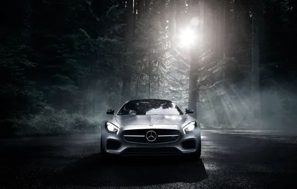 Картинка Mercedes-Benz, Dark, Front, AMG, Sun, Color, Silver, Forest, 2016, GT S