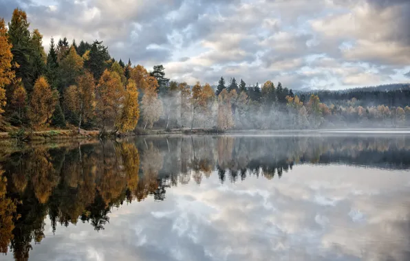 Картинка осень, лес, деревья, озеро, утро, дымка