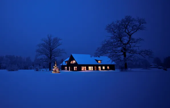 Картинка lights, дом, елка, Новый Год, Рождество, Christmas, night, winter, snow, tree