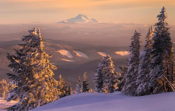 Картинка зима, лес, снег, пейзаж, закат, горы, природа, вид, елка, ели, горизонт, сугробы
