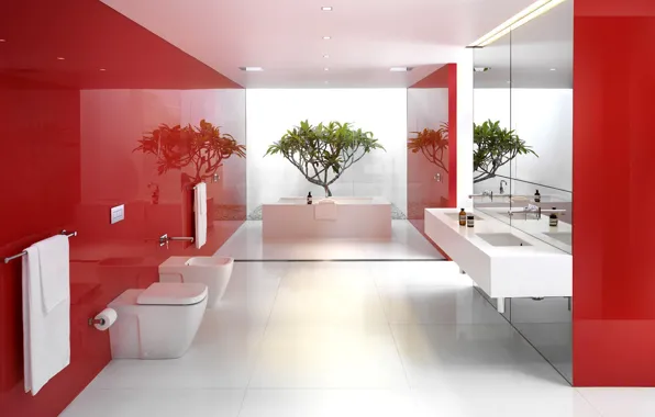 Картинка белый, красный, отражение, растение, ванная, зеркала