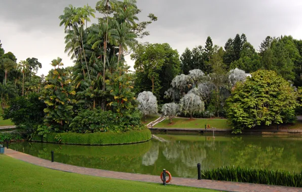 Картинка трава, деревья, дизайн, пруд, парк, пальмы, газон, Сингапур, Botanic Gardens