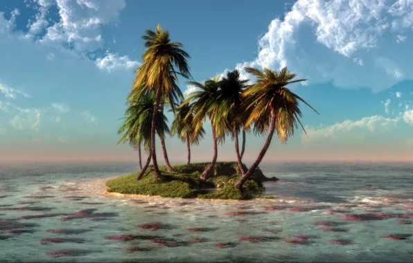 Картинка море, вода, облака, природа, пальмы, остров, кораллы, арт, klontak