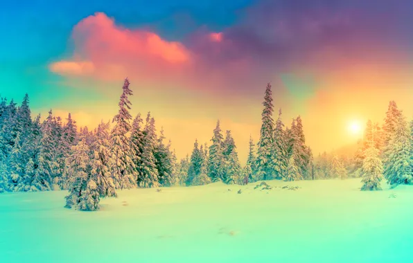 Картинка зима, небо, снег, пейзаж, природа, фото, ель