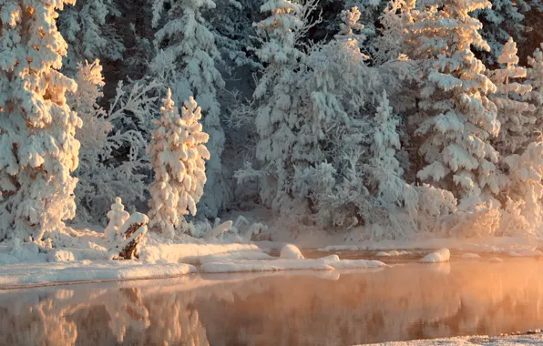 Картинка зима, лес, вода, снег, деревья, отражение, река, солнечно
